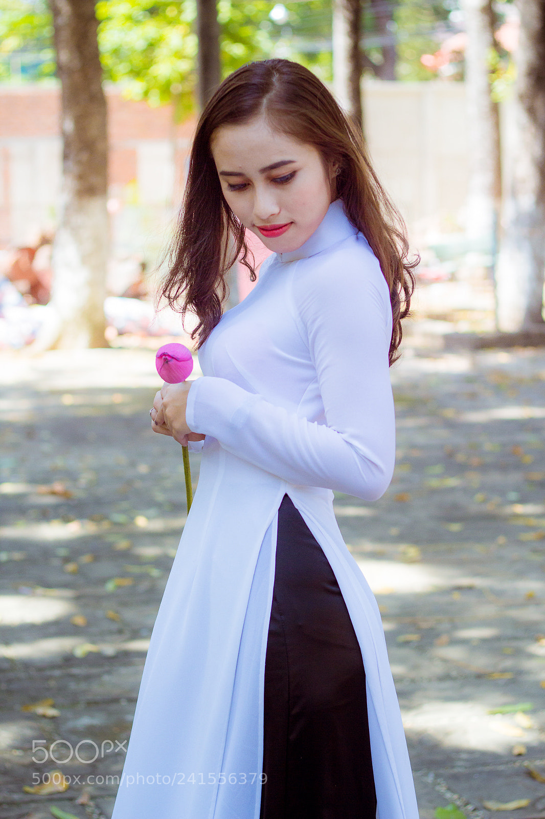 Canon EOS 60D sample photo. Vi photography