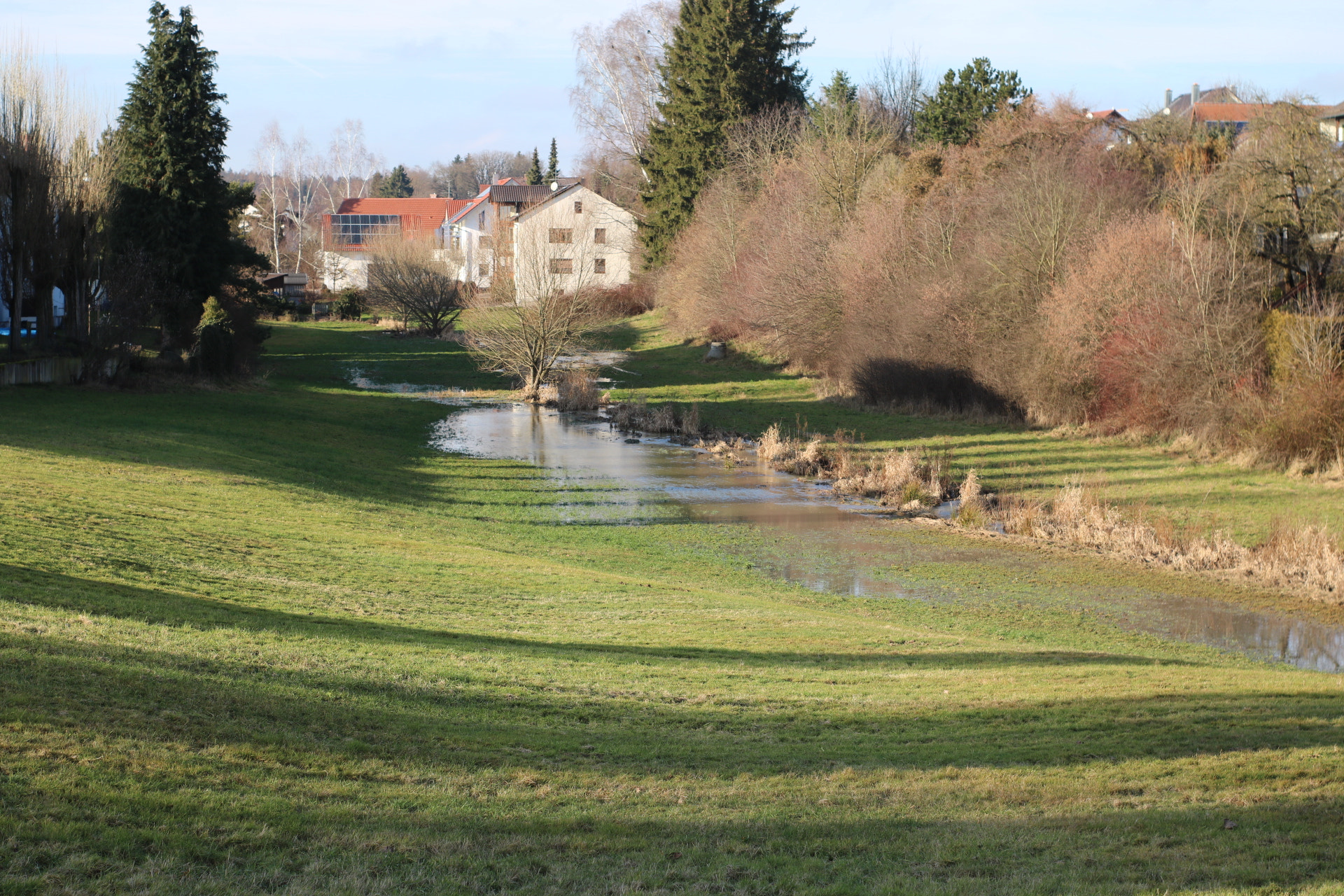 Canon 50mm sample photo. Flooding photography