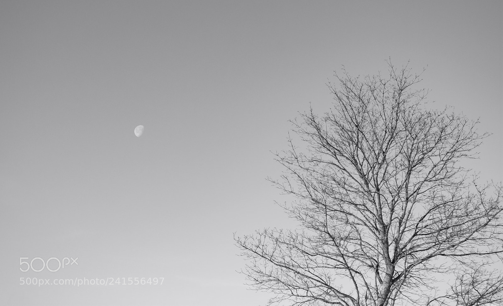 Nikon D7200 sample photo. Morning moon photography