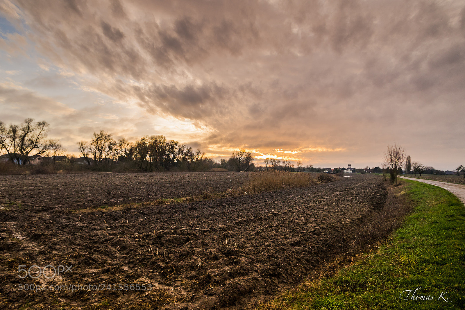 Sony a7 sample photo. Sunset over the field photography