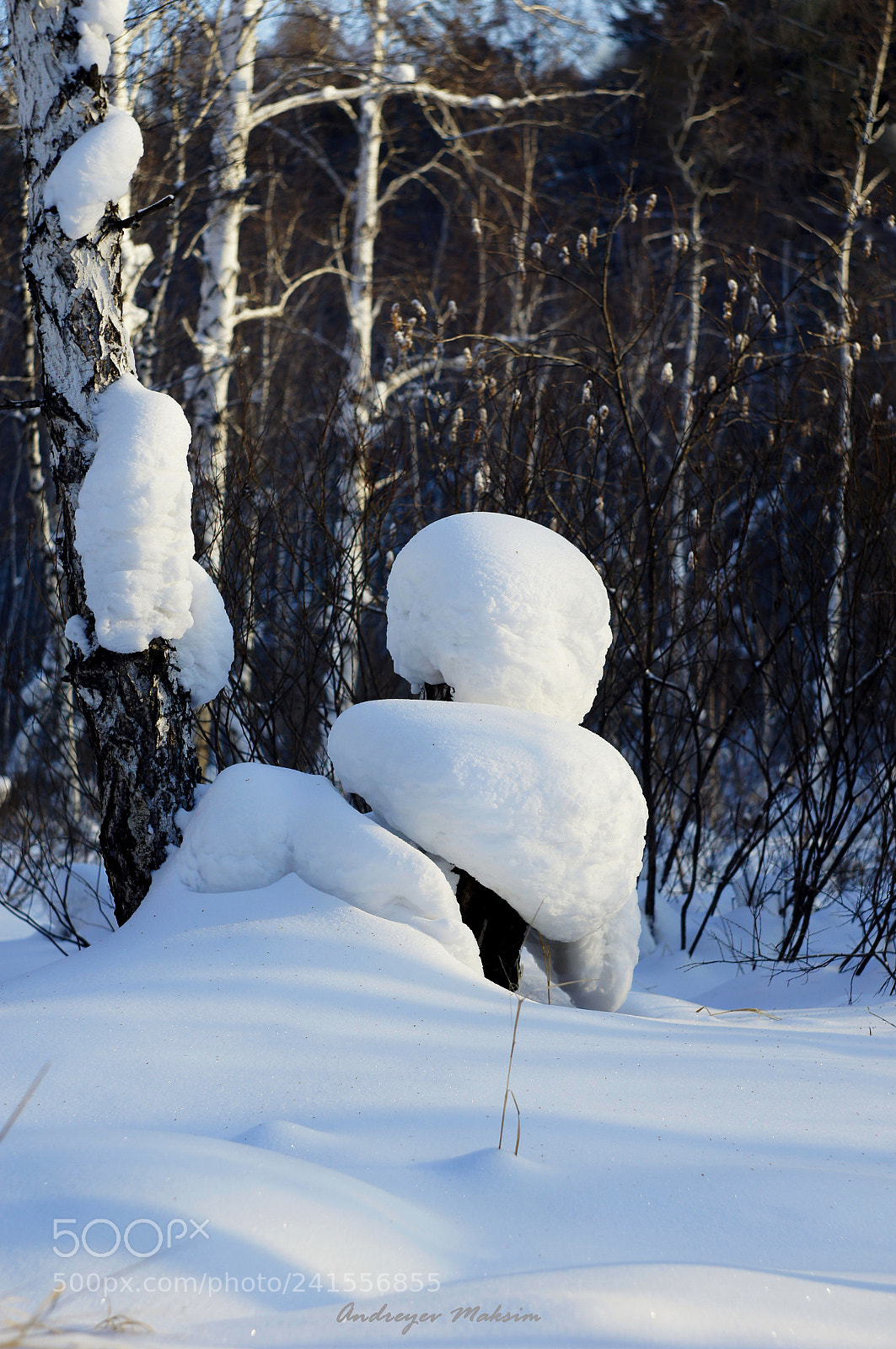 Sony Alpha DSLR-A580 sample photo. Snowman photography