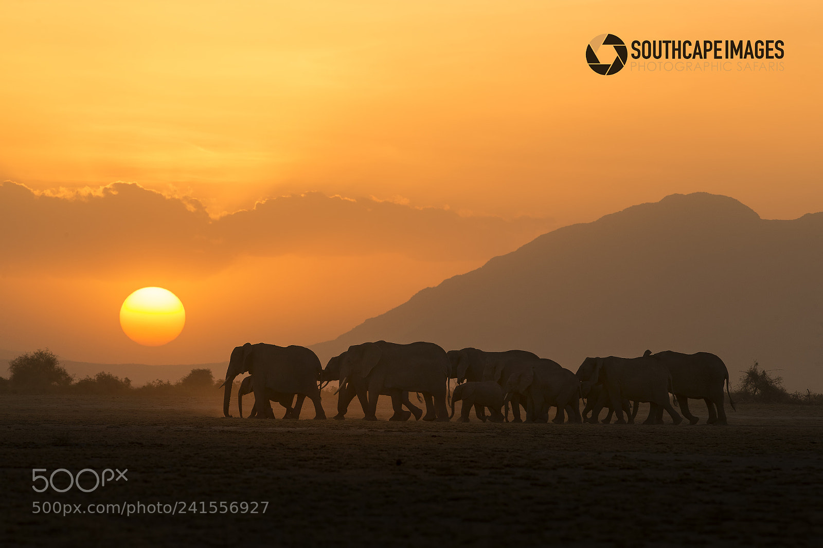 Canon EOS-1D X sample photo. Amboseli sunset ii photography