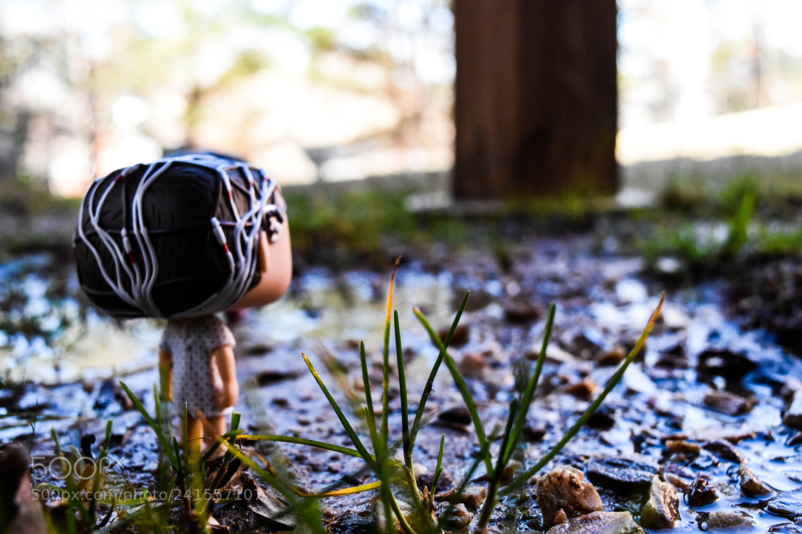 Nikon D7200 sample photo. Wonder photography