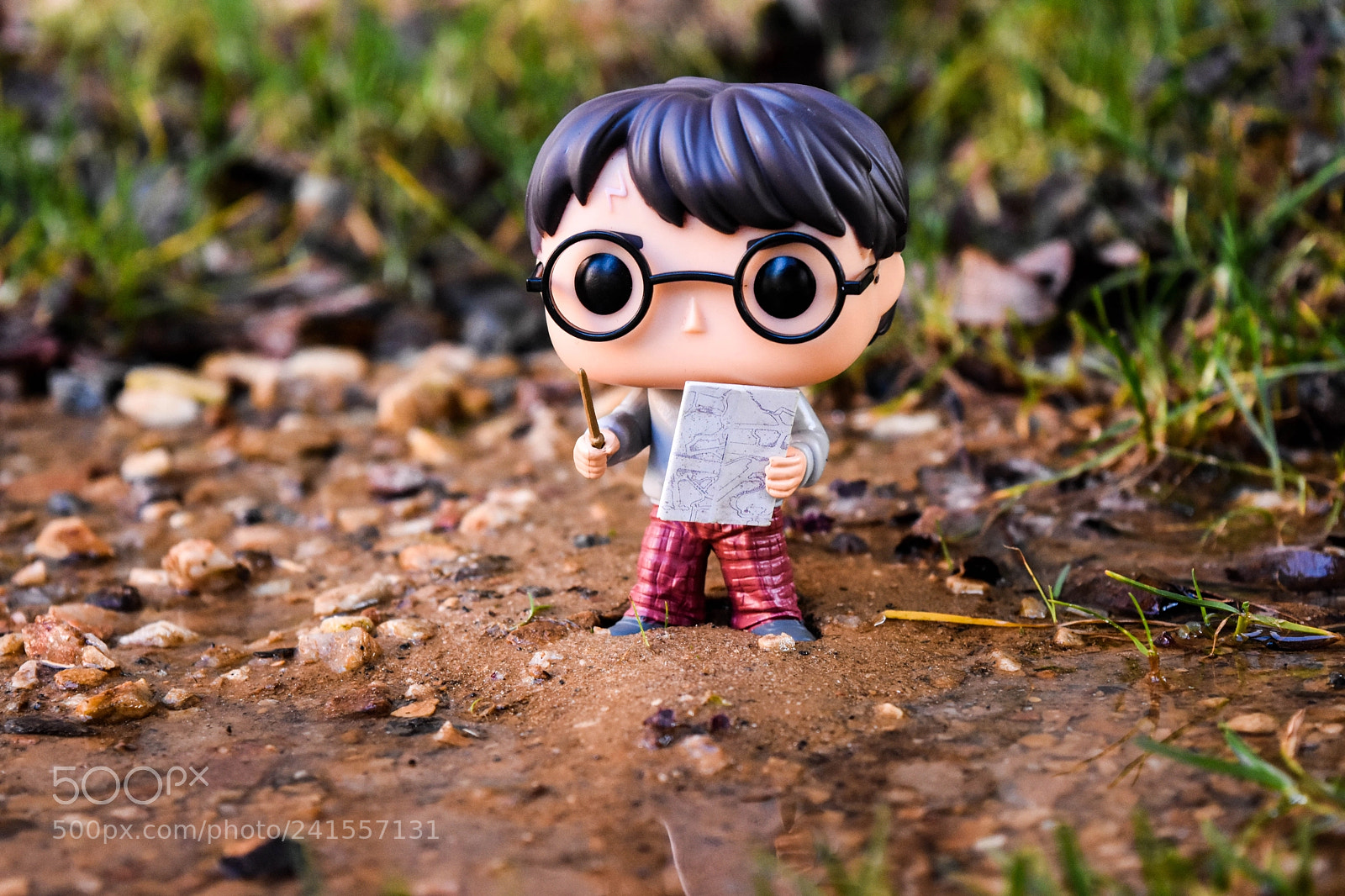 Nikon D7200 sample photo. Wonder photography