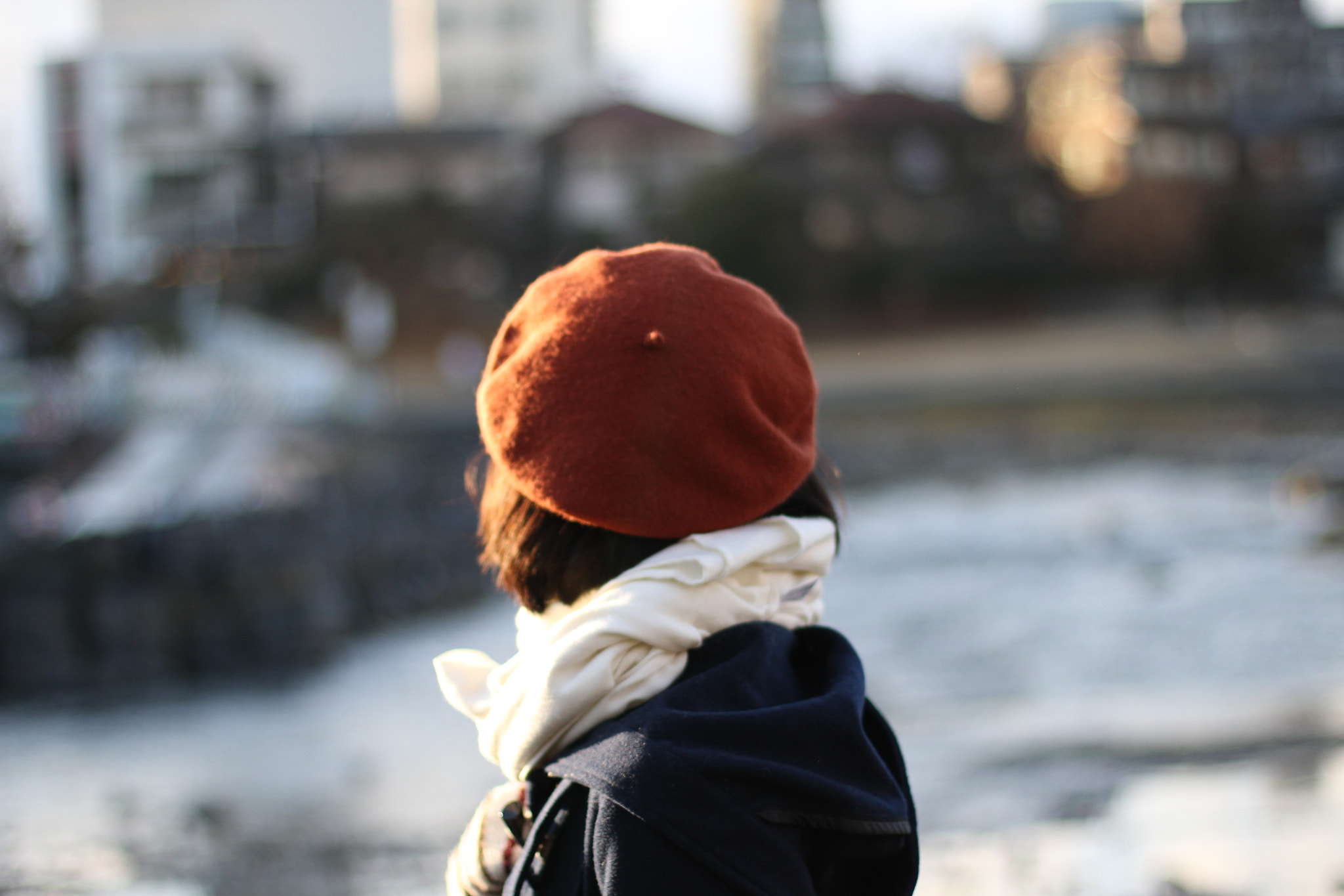 Canon EOS 7D + Canon EF 50mm F1.4 USM sample photo