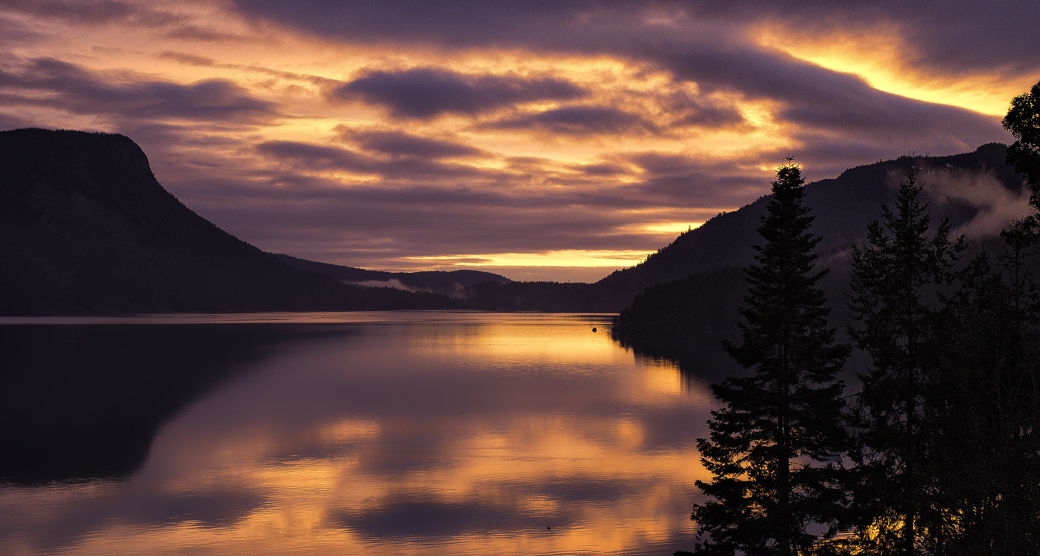 Leica X Vario sample photo. Moody and misty maple bay morning photography