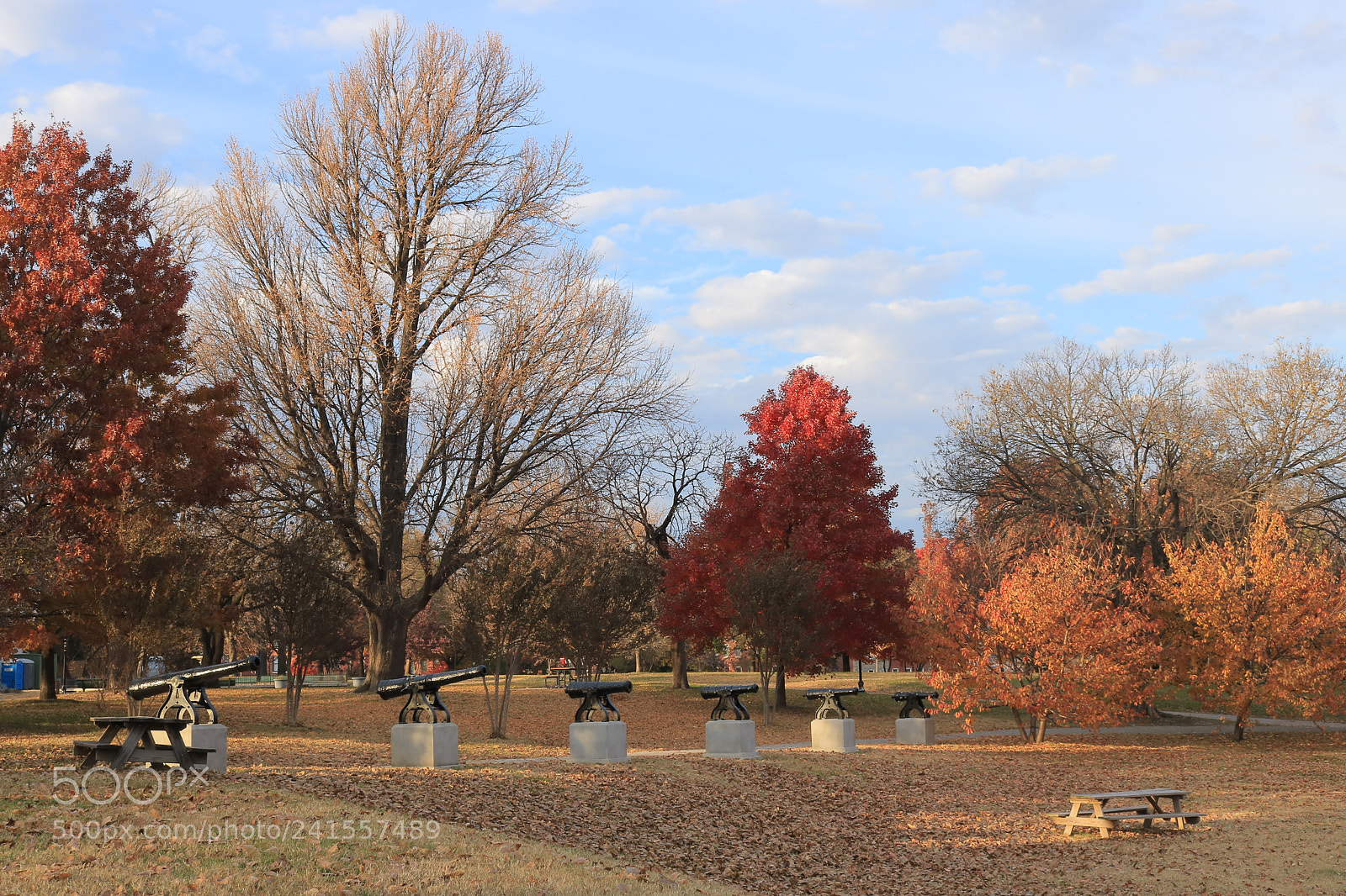 Canon EOS 750D (EOS Rebel T6i / EOS Kiss X8i) sample photo. Dare to sit! photography