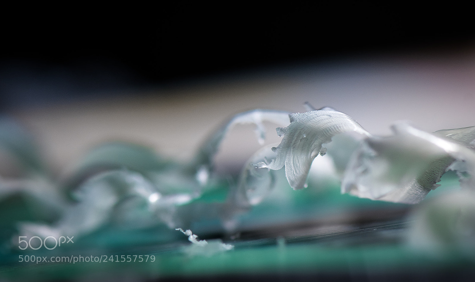 Nikon D500 sample photo. Waves of wax on photography