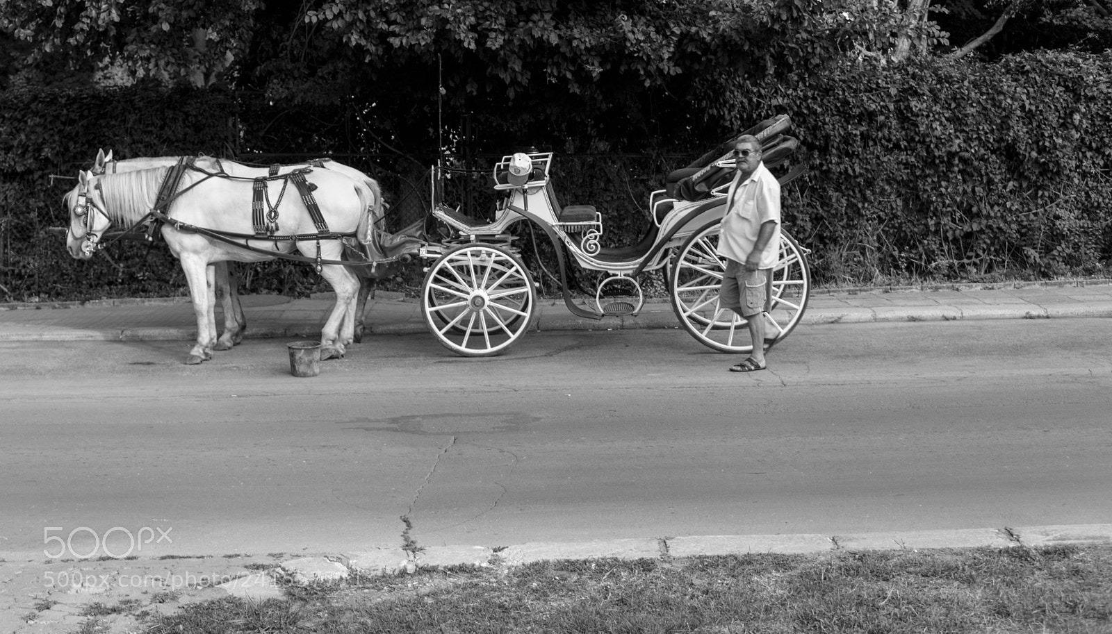 Nikon D600 sample photo. Waiting for passengers photography