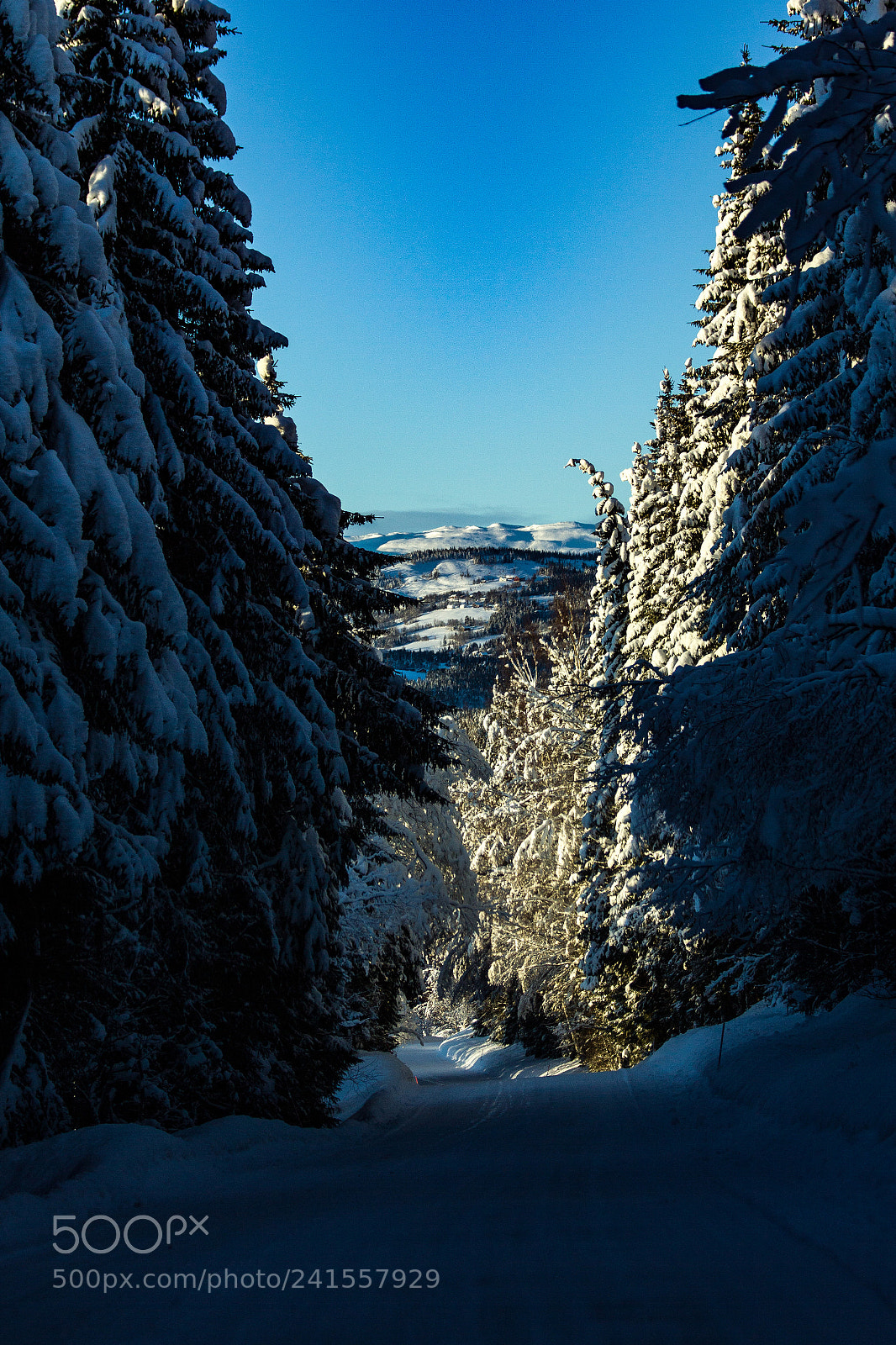 Canon EOS 60D sample photo. Going to the mountain photography