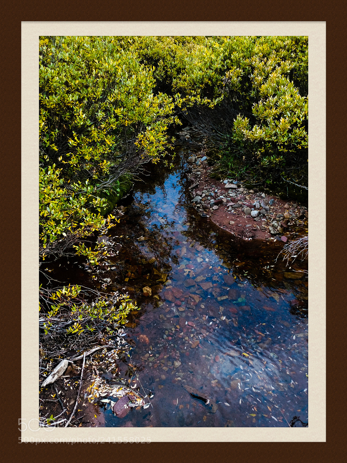 Motorola XT1650 sample photo. Creek side photography