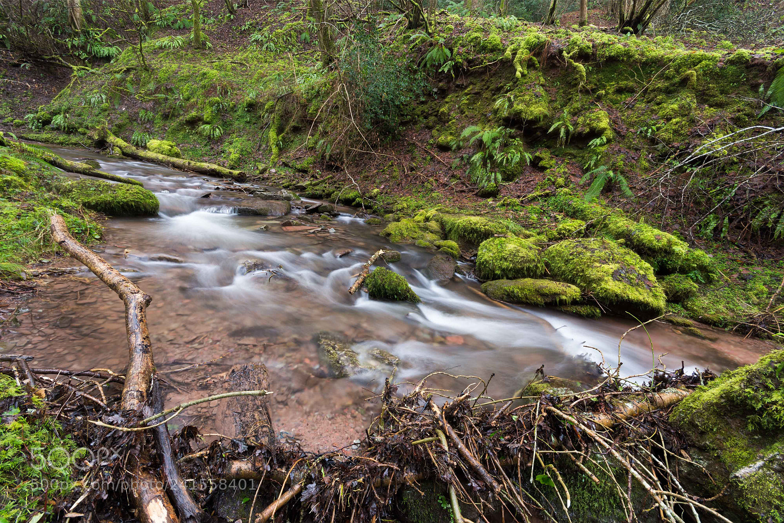 Nikon D7200 sample photo. Pwll y wrach stream photography