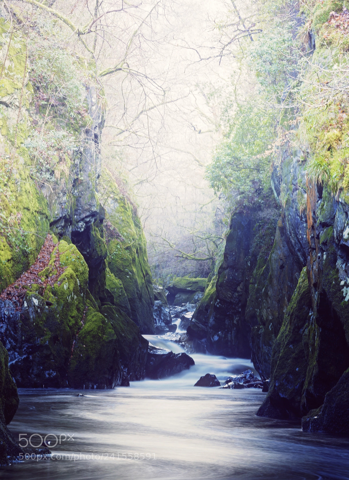 Canon EOS 5DS sample photo. Fairy glen photography