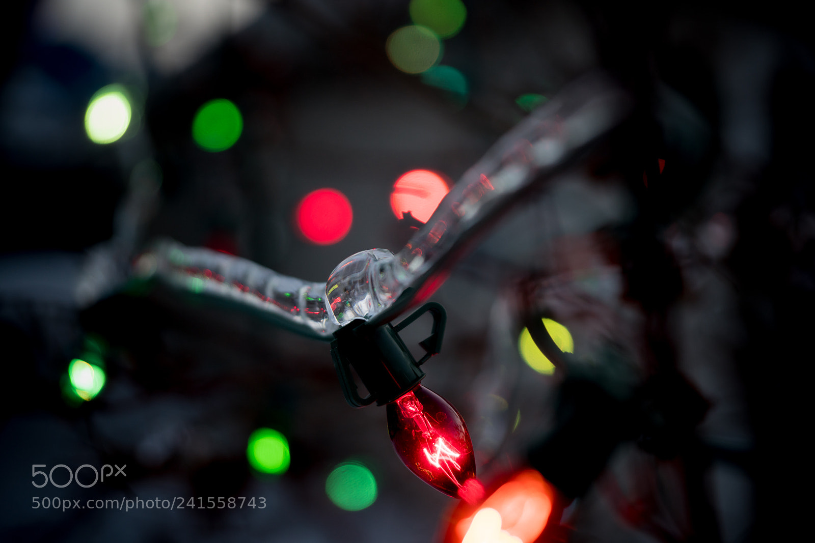 Sony a99 II sample photo. Freezing rain photography