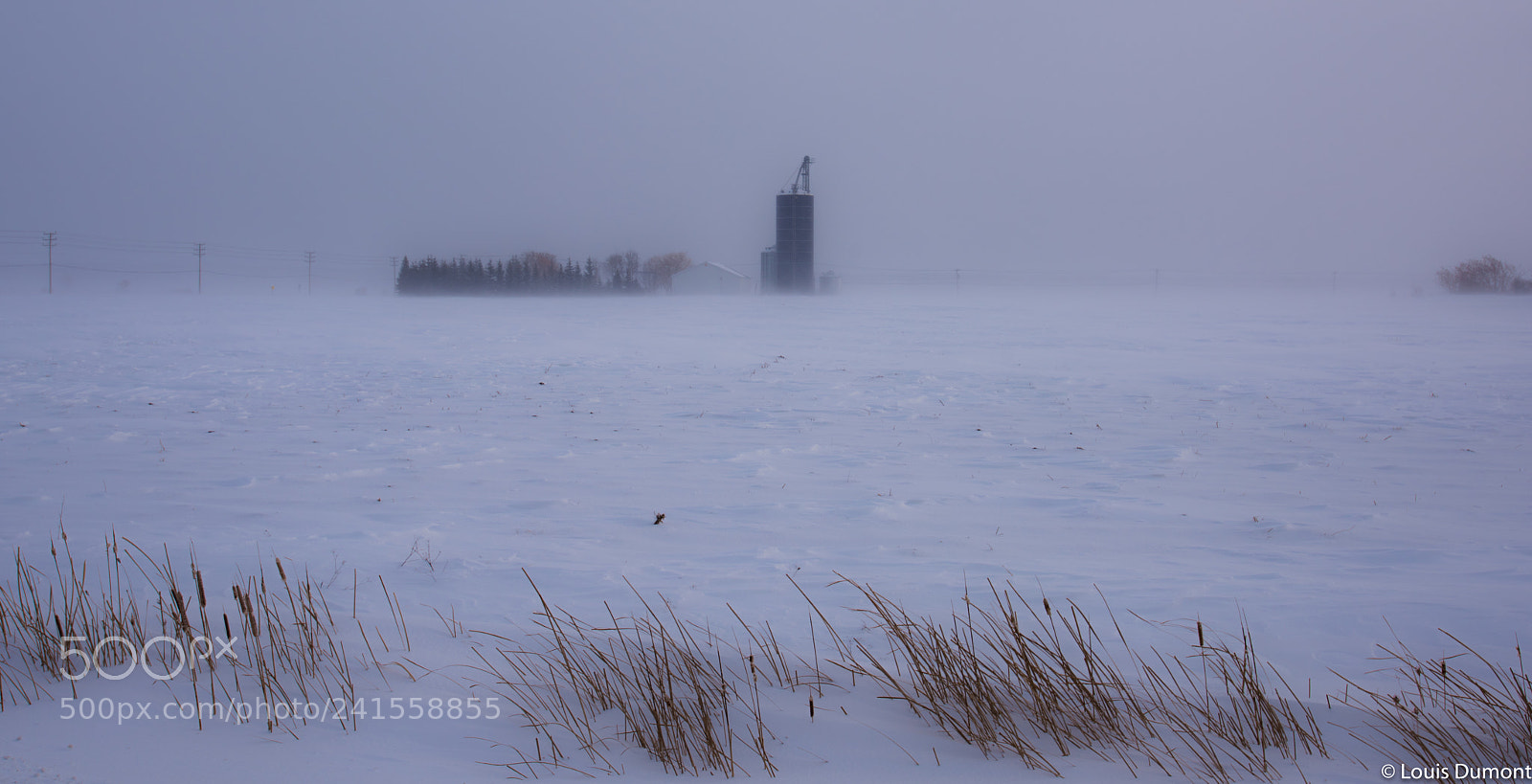 Nikon D810 sample photo. La campagne à -24°c photography