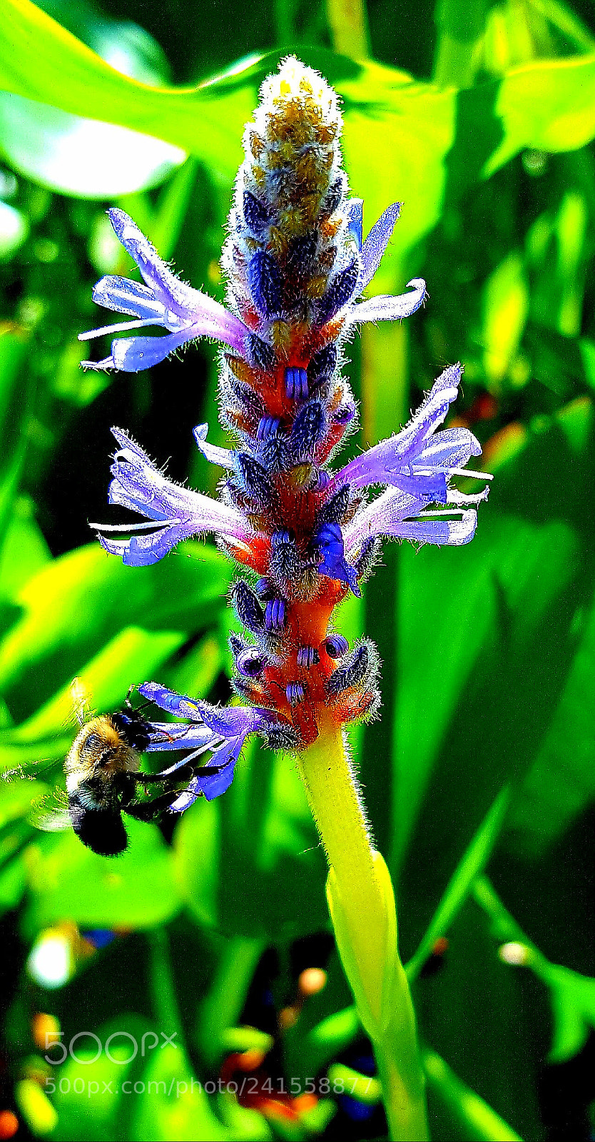 Samsung GALAXY S6 edge sample photo. Untitled photography