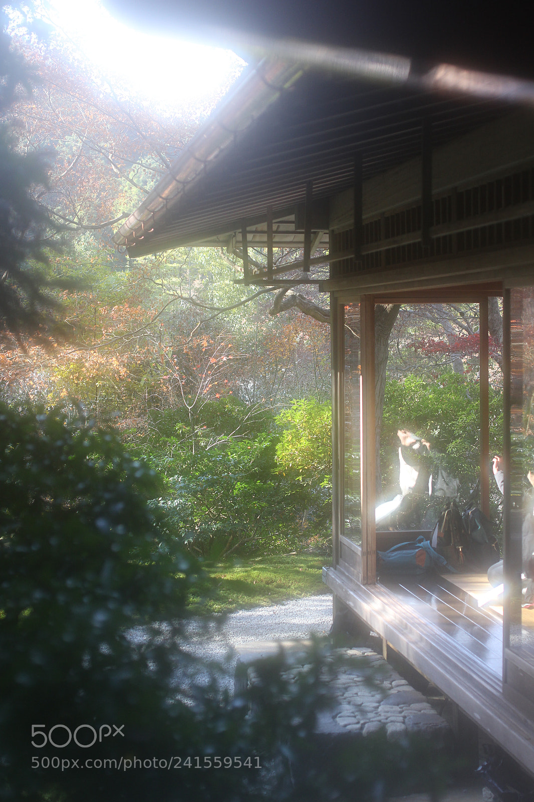 Canon EOS 550D (EOS Rebel T2i / EOS Kiss X4) sample photo. Quiet and peace in photography