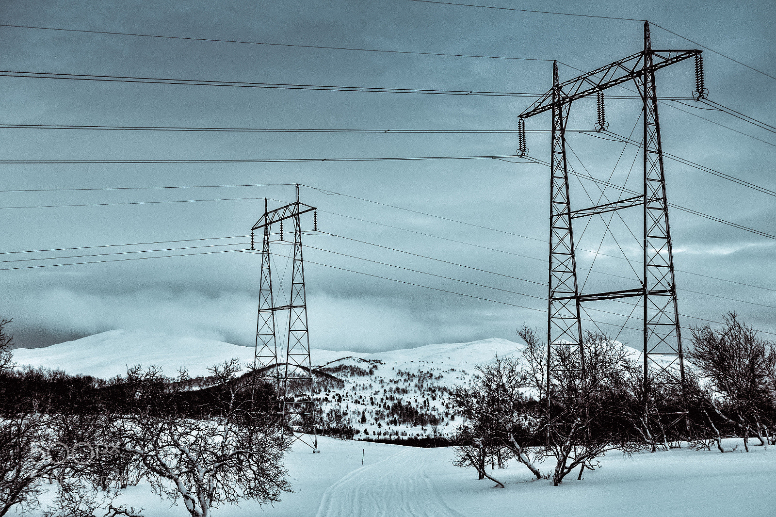 Canon PowerShot G5 X sample photo. Power line in snow photography