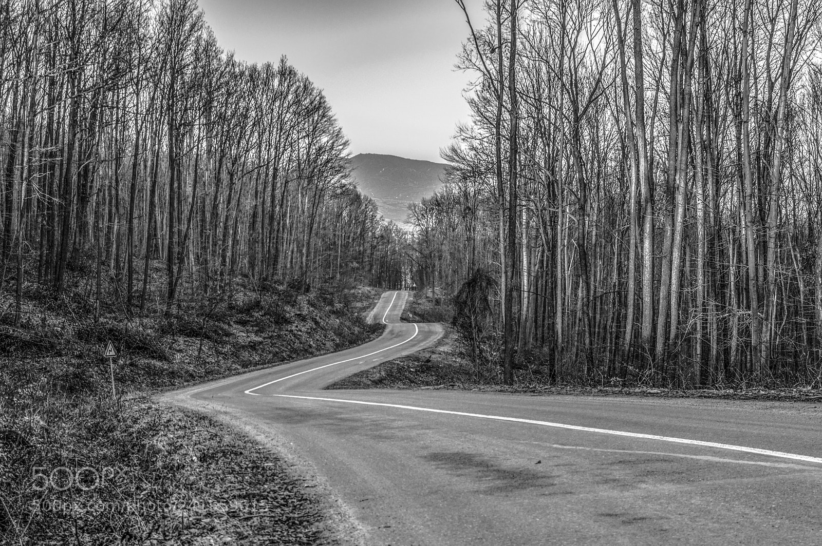 Nikon D3200 sample photo. Silent january photography