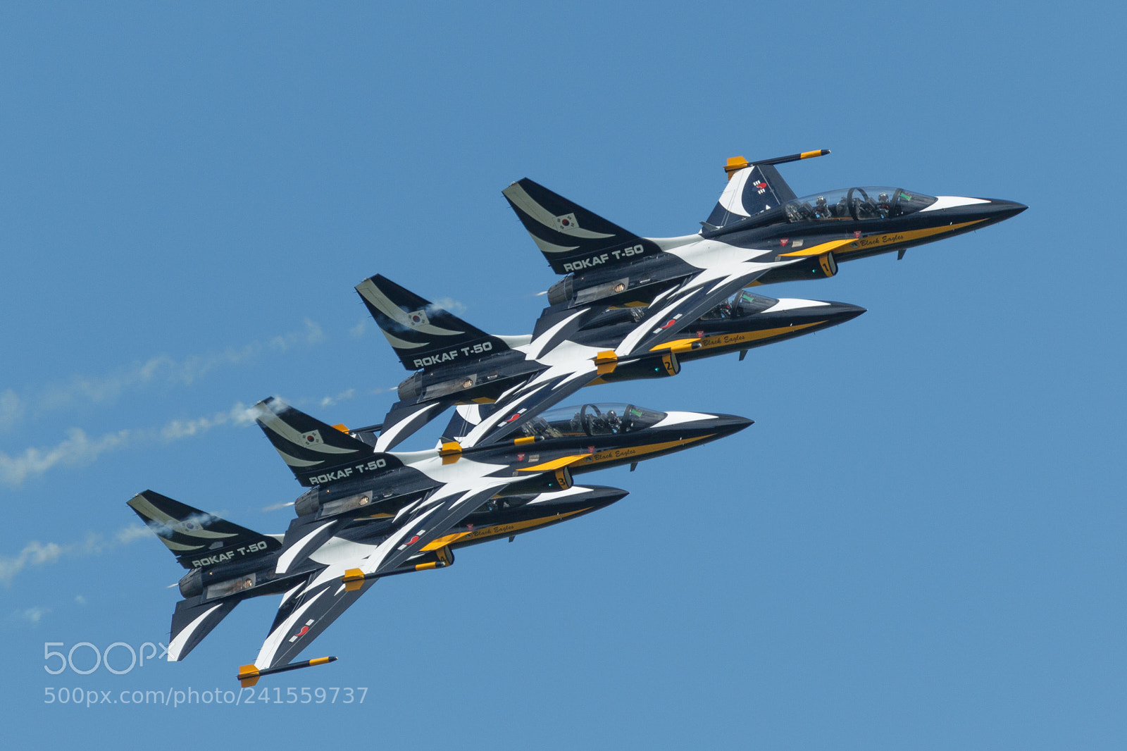 Canon EOS-1D Mark IV sample photo. South korean black eagles photography