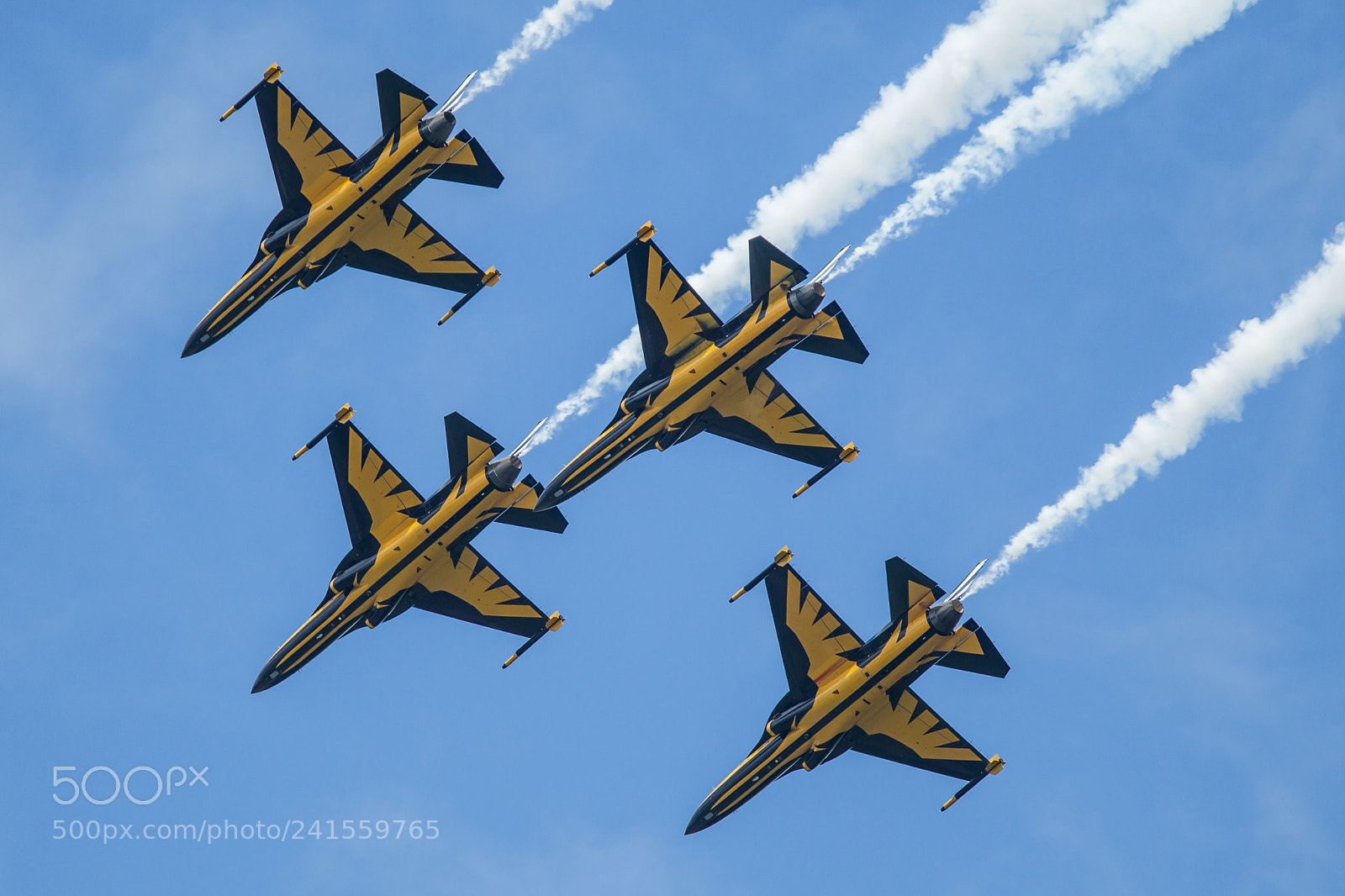 Canon EOS-1D Mark IV sample photo. South korean black eagles photography