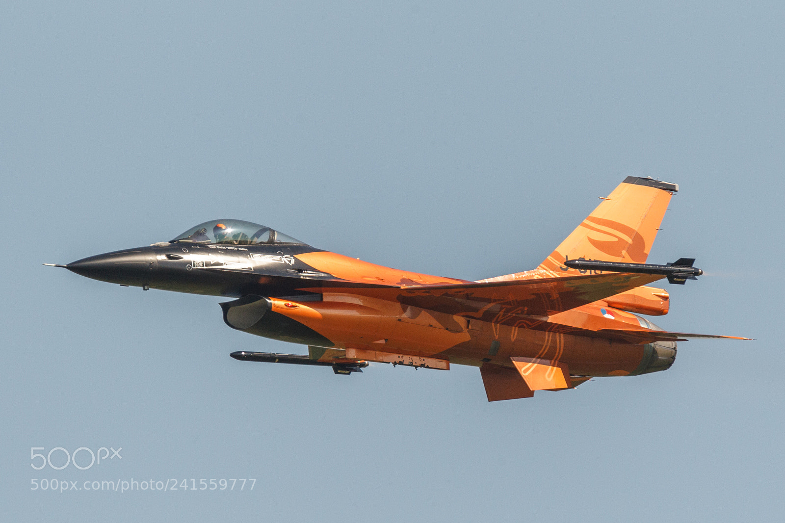 Canon EOS-1D Mark IV sample photo. Dutch orange f16 photography