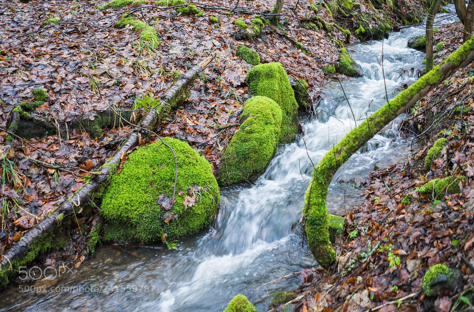 Sony a7 II sample photo. Stream course photography