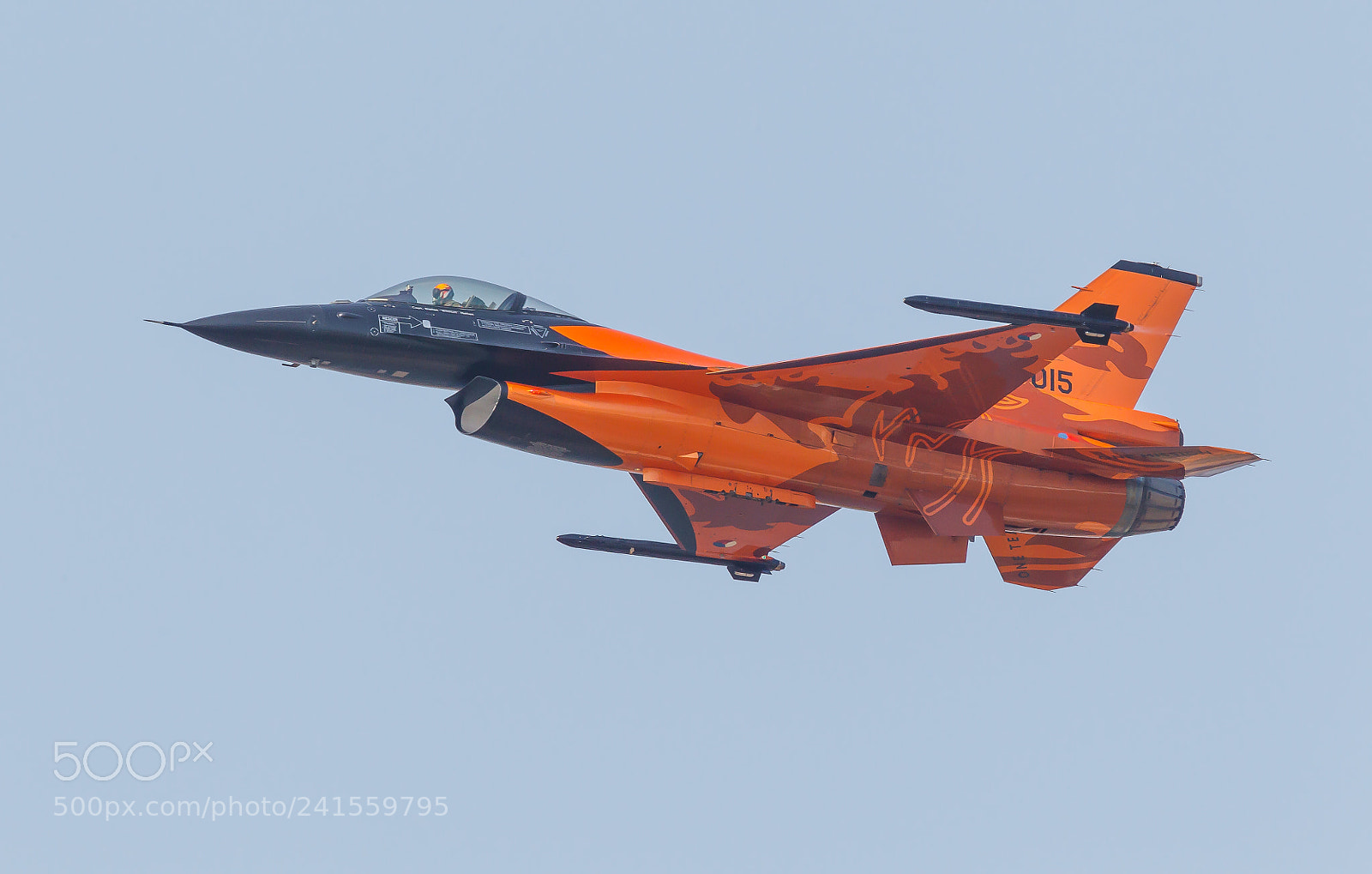 Canon EOS-1D Mark IV sample photo. Dutch orange f16 photography