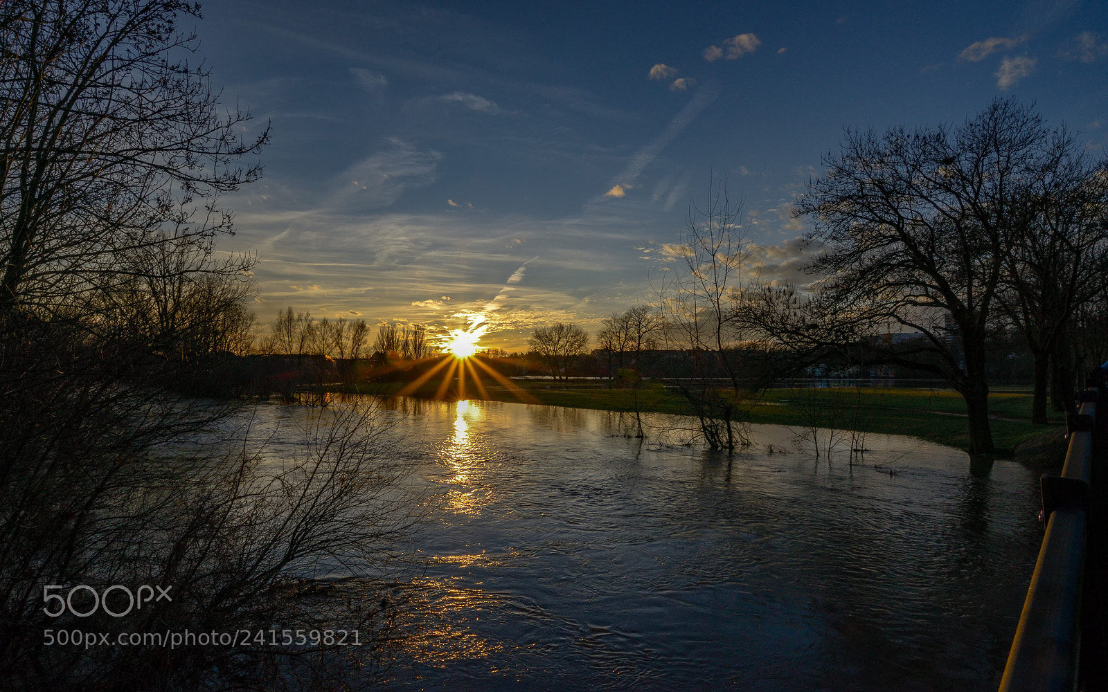 Nikon D800 sample photo. River rednitz photography
