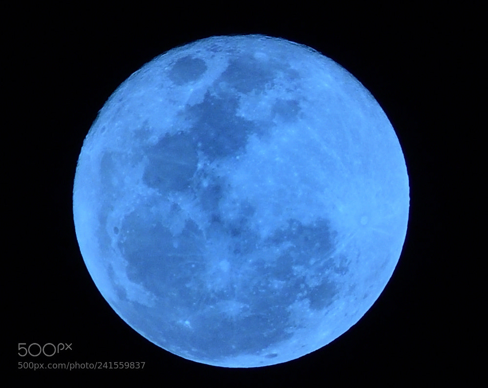 Nikon D7500 sample photo. Supermoon2018 photography