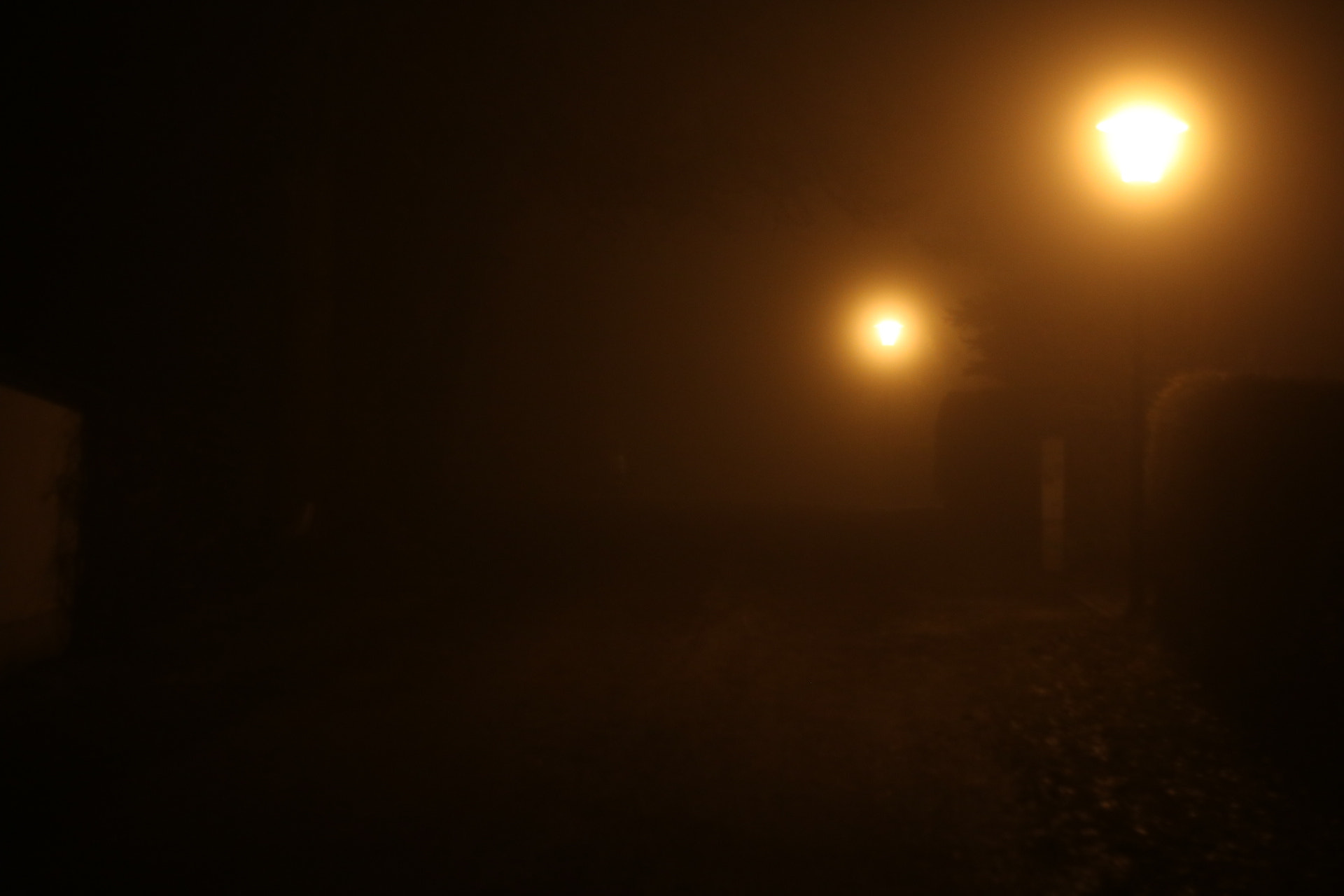 Canon 50mm sample photo. Two lamps in the fog photography