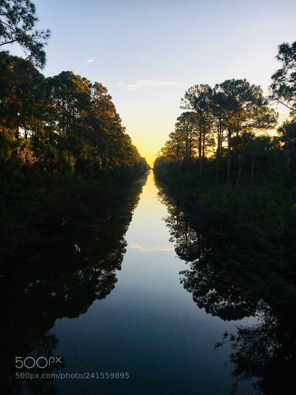 Apple iPhone 6s sample photo. North port, fl photography