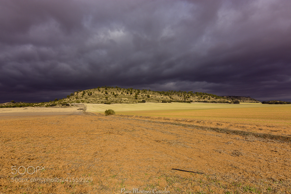 Nikon D7100 sample photo. Por la mancha de photography