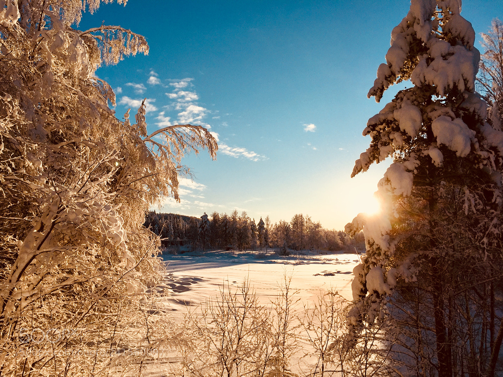 Apple iPhone 6 sample photo. January day photography