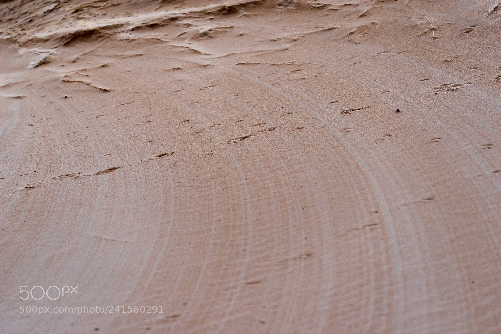 Pentax K-1 sample photo. Sand patterns caused by photography