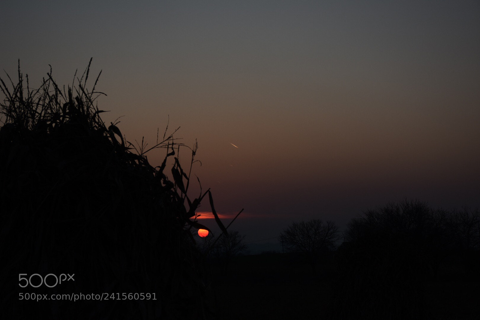 Nikon D7200 sample photo. Sunset cornshock photography