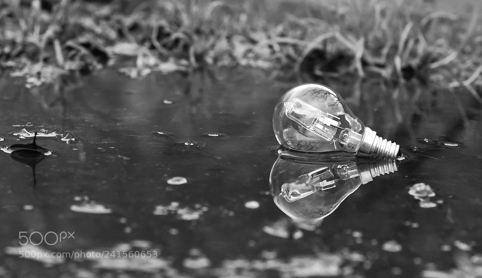 Nikon D7500 sample photo. Das licht photography