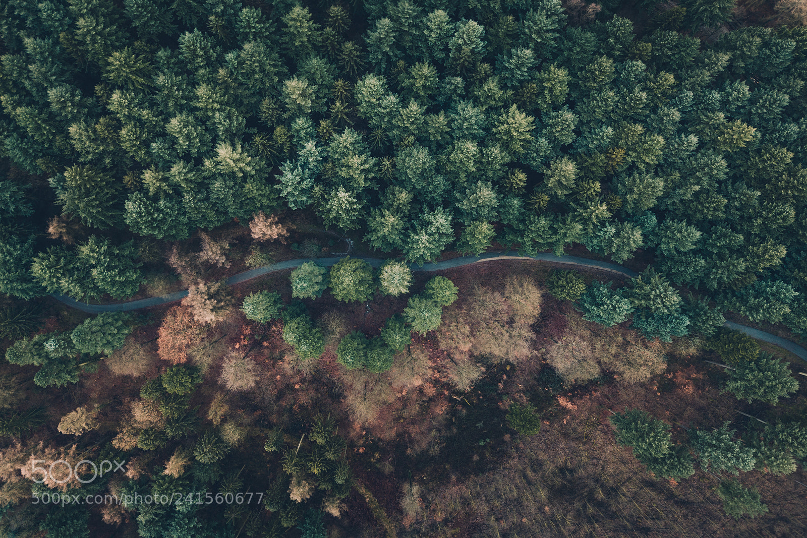 DJI FC220 sample photo. Http://weinheim.photos photography