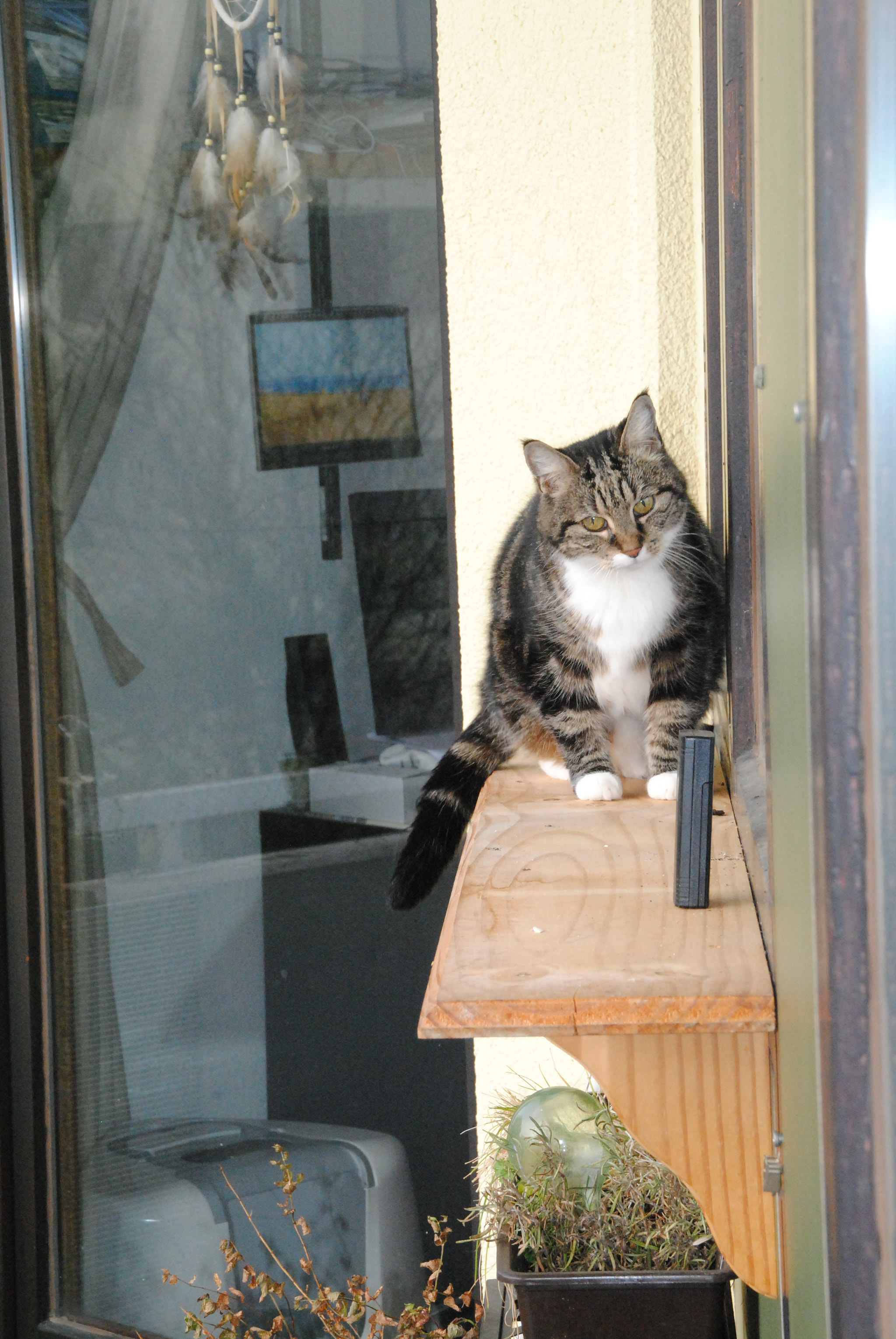 Nikon D3000 sample photo