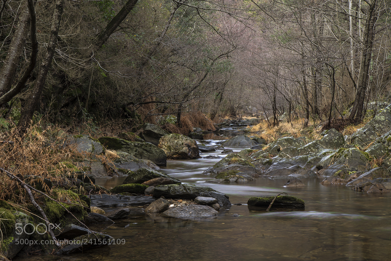 Pentax K-1 sample photo. Le ruisseau. photography