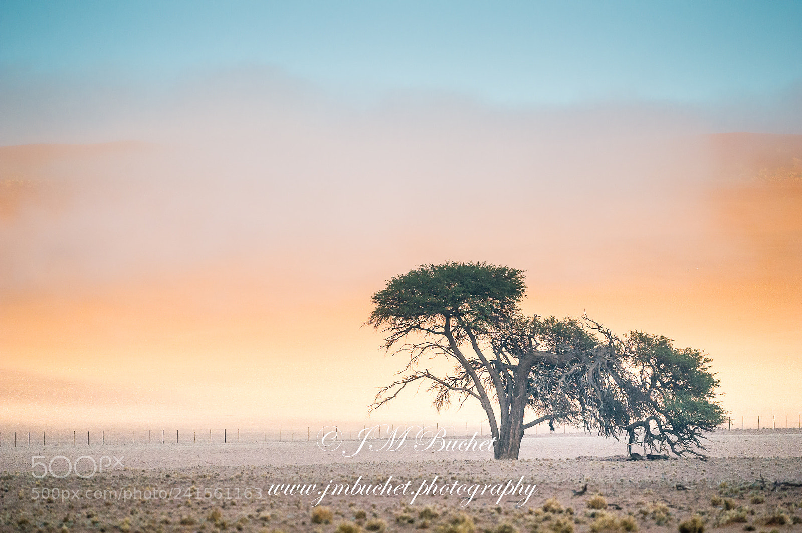 Nikon D3S sample photo. Namib's mists photography