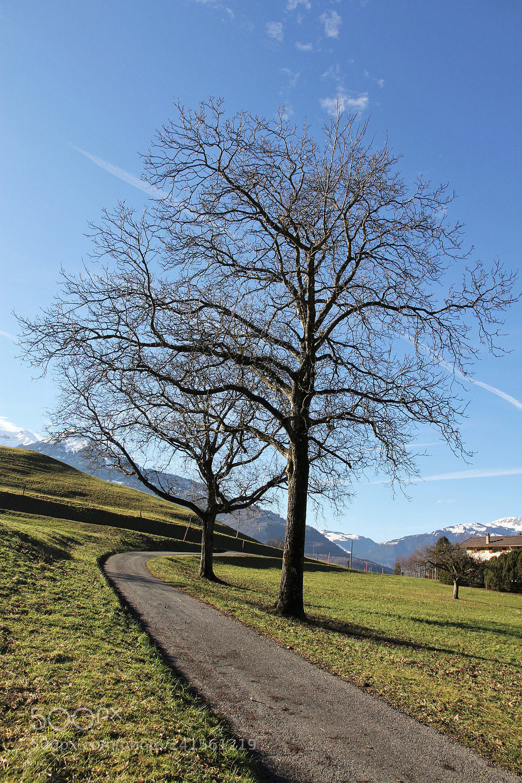Canon EOS 60D sample photo. Bex city ... switzerland photography
