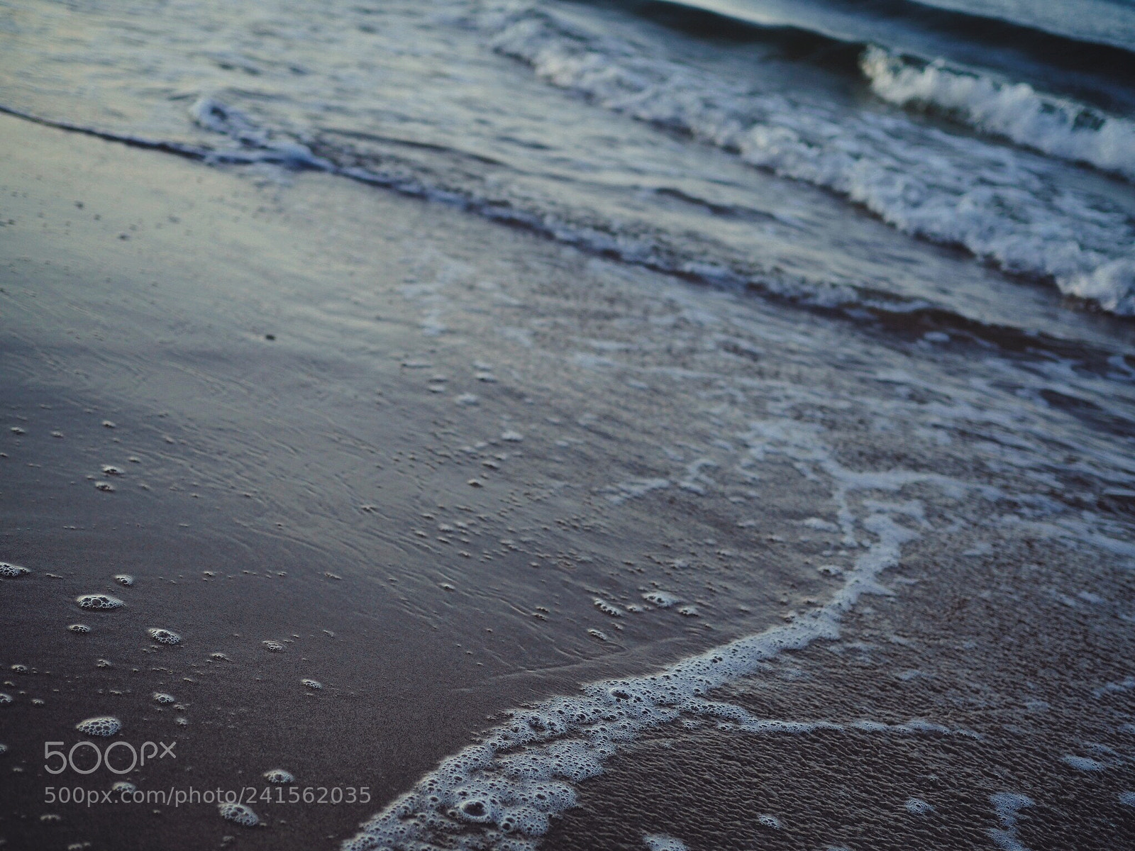 Olympus OM-D E-M10 II sample photo. Sea sea sea photography