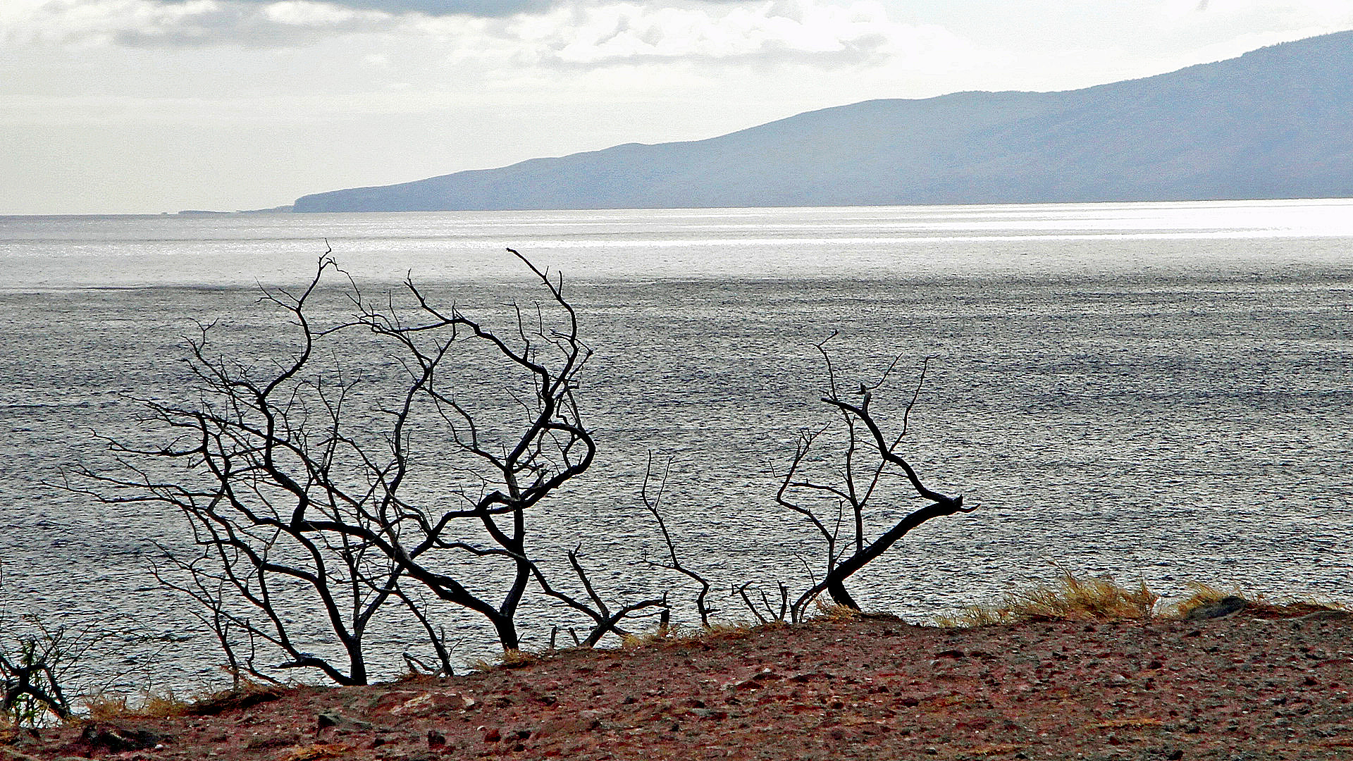 Sony Cyber-shot DSC-W290 sample photo. Maui's view of lanai photography