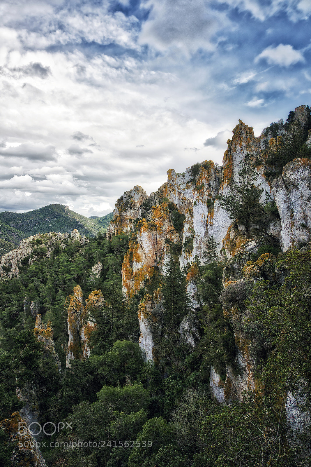 Nikon D800 sample photo. The rocky mountain photography