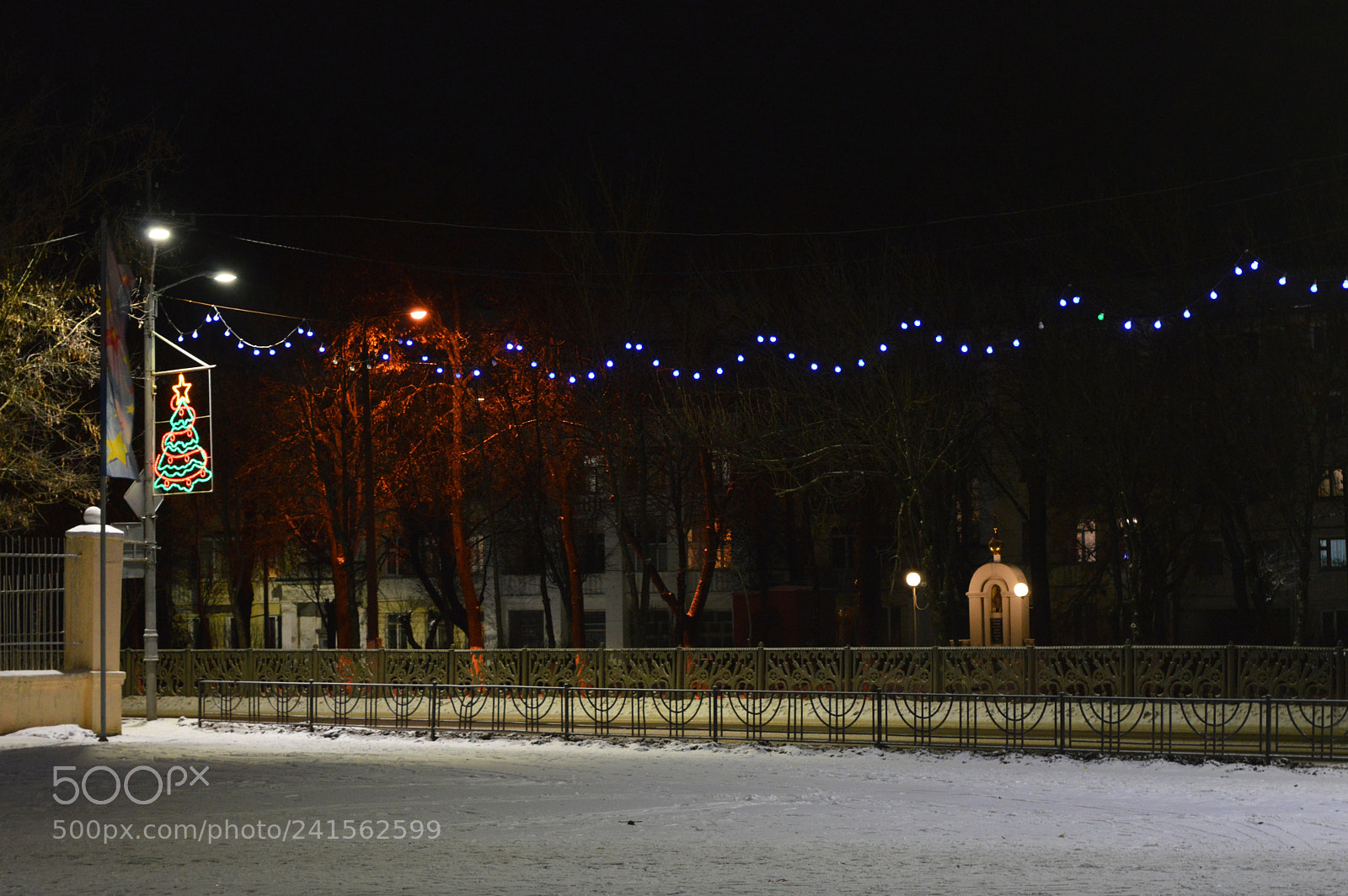Nikon D3200 sample photo. Winter beauty photography