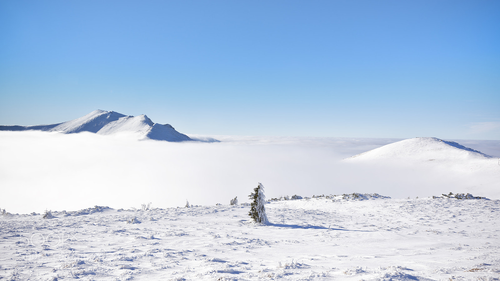 Nikon D810 sample photo. Mf_winter time photography