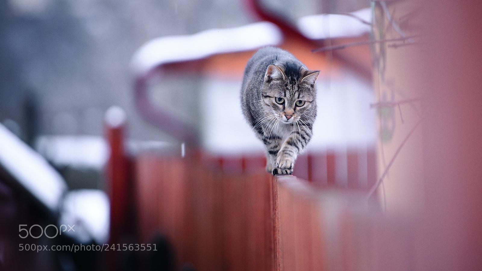 Nikon D600 sample photo. Equilibrium photography