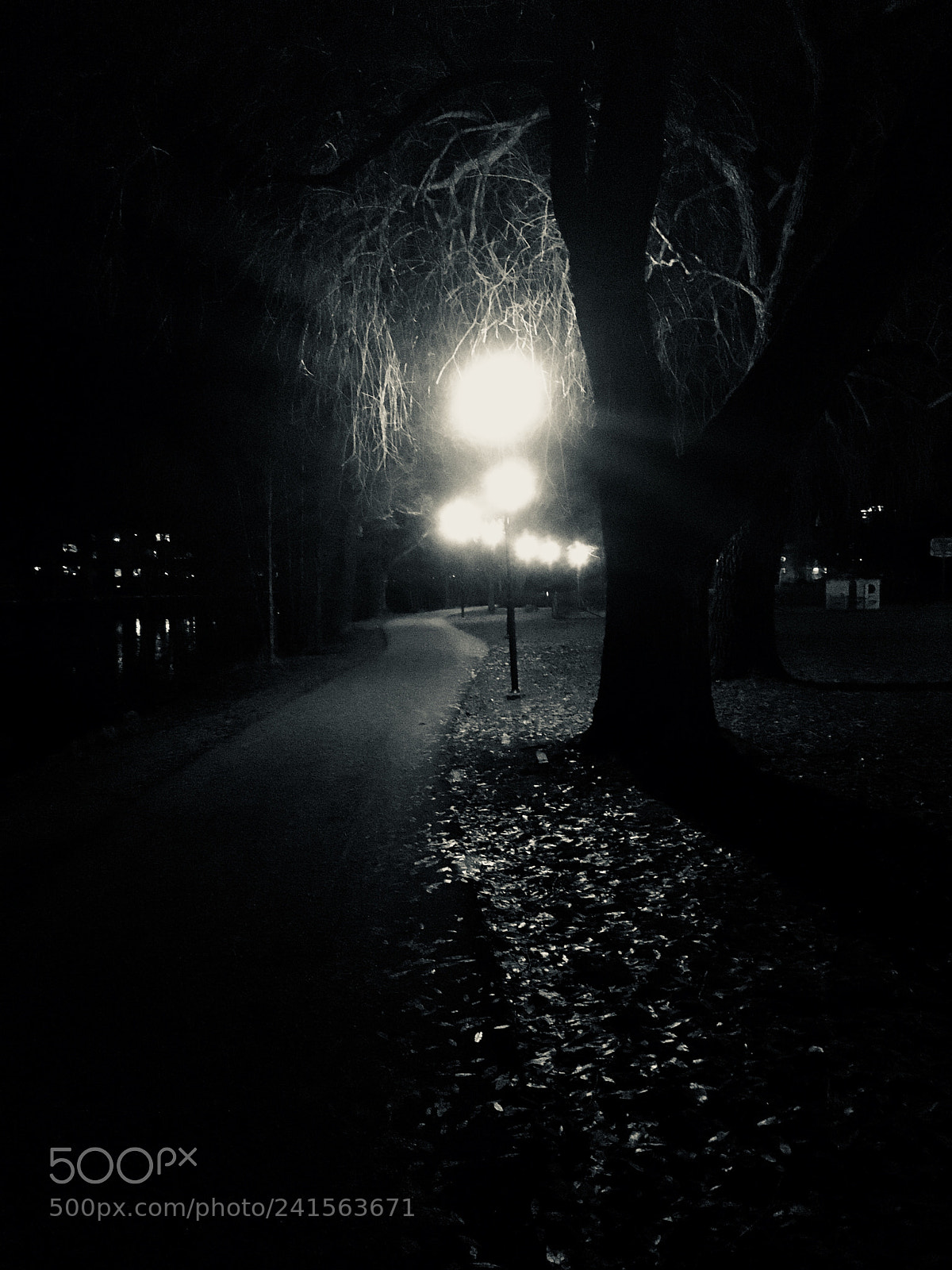 Apple iPhone 6s sample photo. Evening walk by the photography