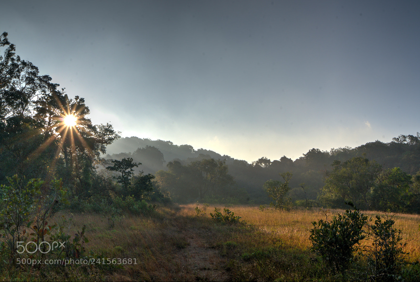 Sony a99 II sample photo. Sun rises through the photography